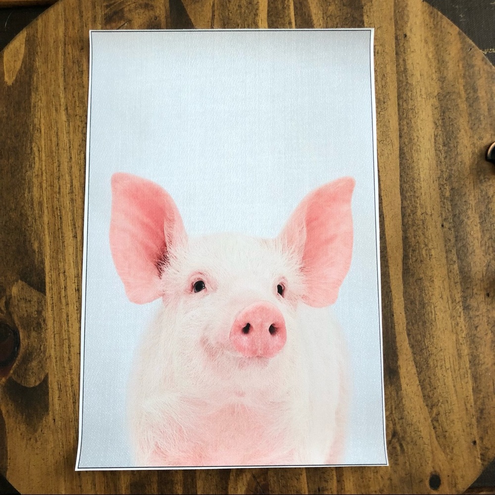 Farm House Baby Pig Canvas Art Print
